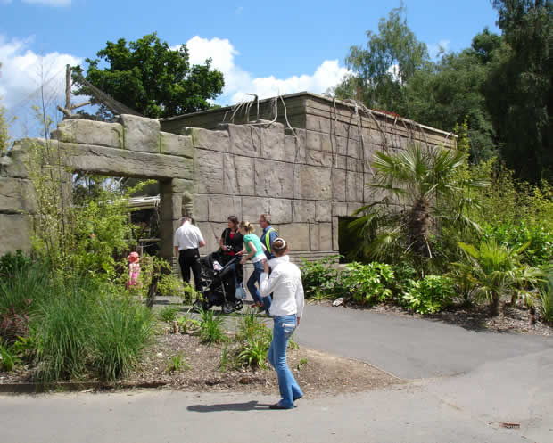 Marwell Wildlife Gibbons Exhibit